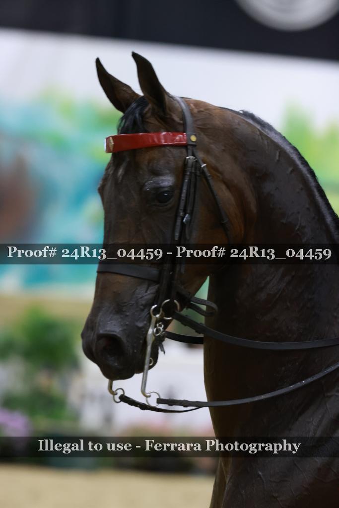 Proof 24R13_04459