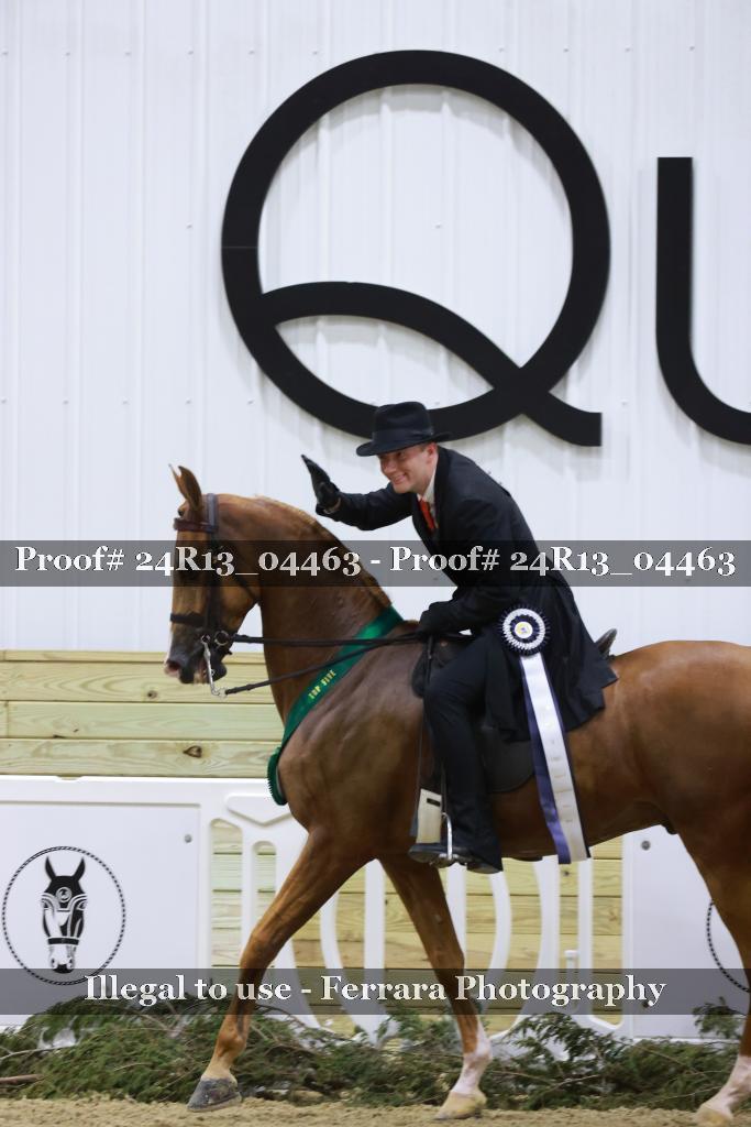 Proof 24R13_04463