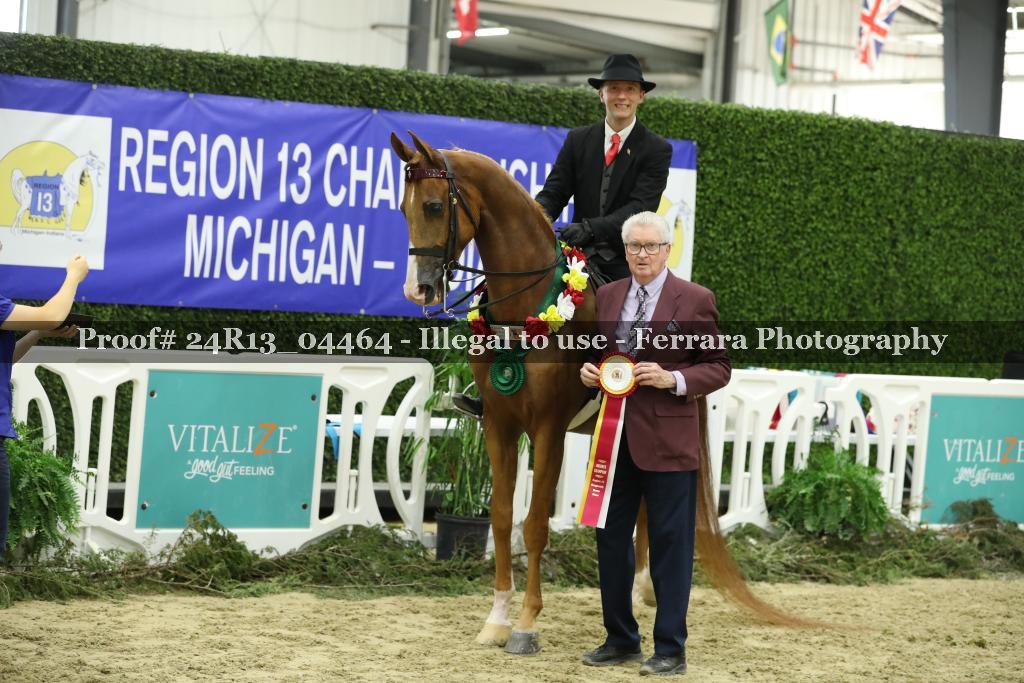 Proof 24R13_04464