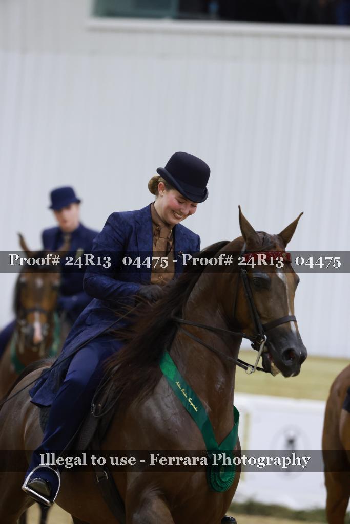 Proof 24R13_04475