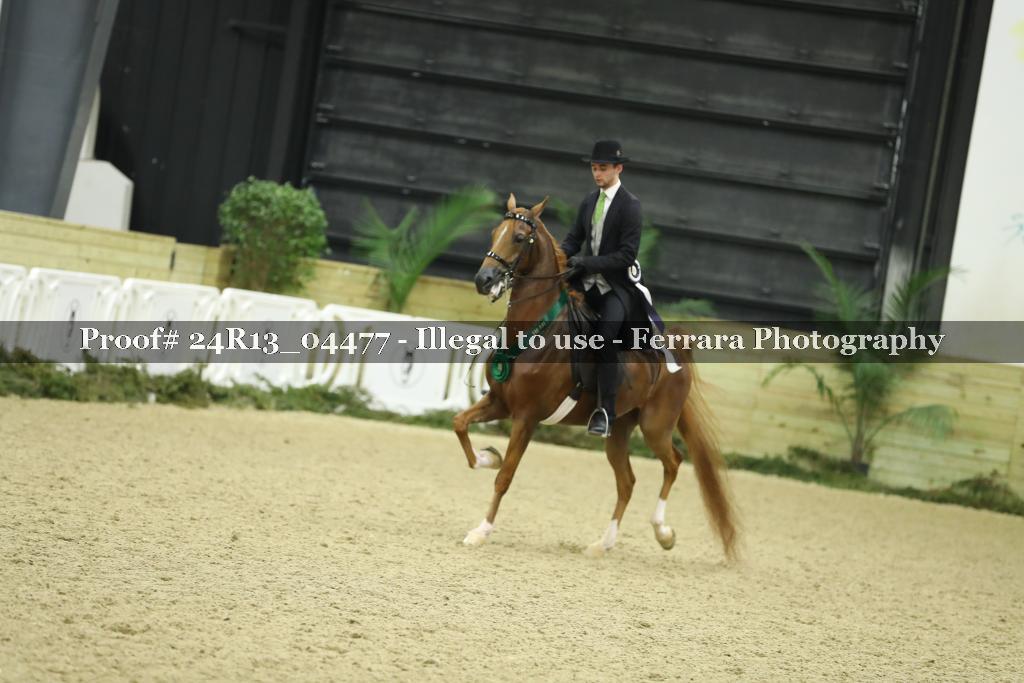 Proof 24R13_04477
