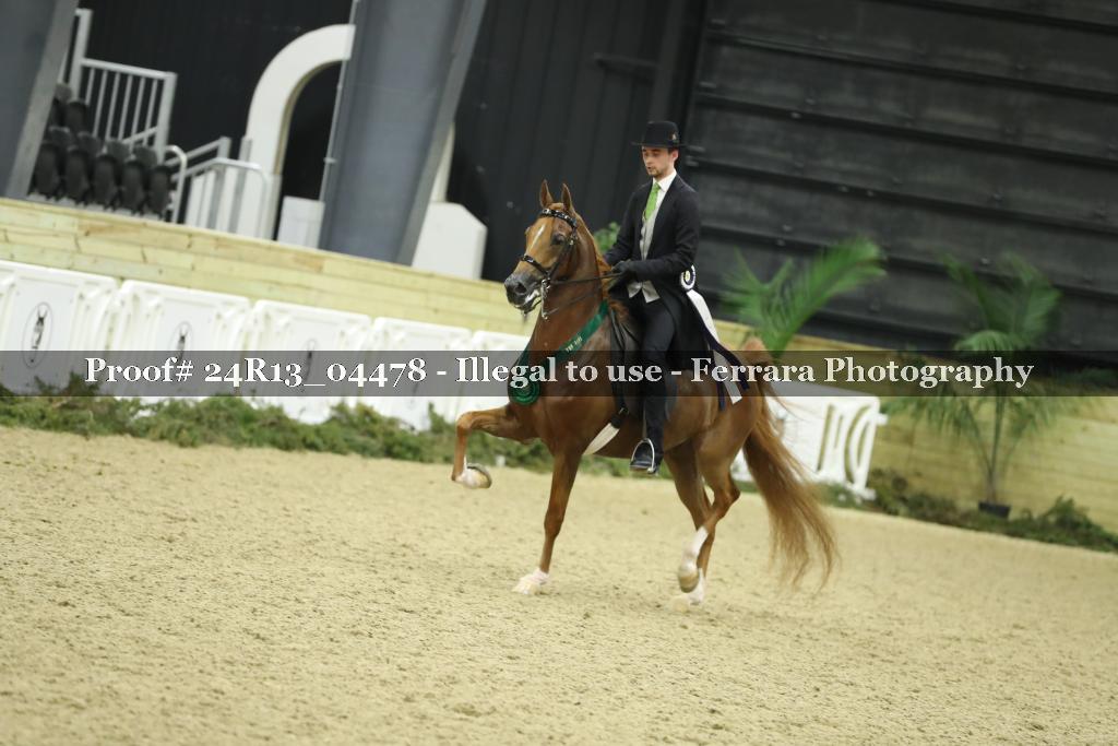 Proof 24R13_04478