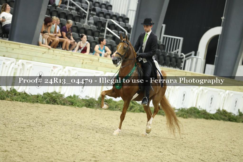 Proof 24R13_04479