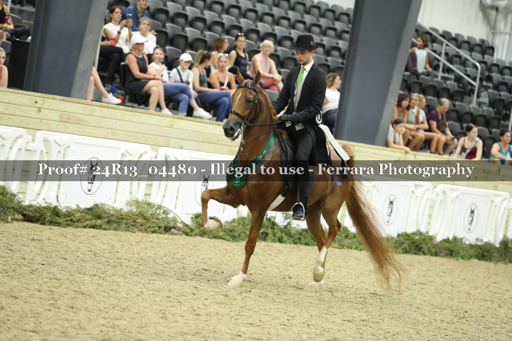 Proof 24R13_04480
