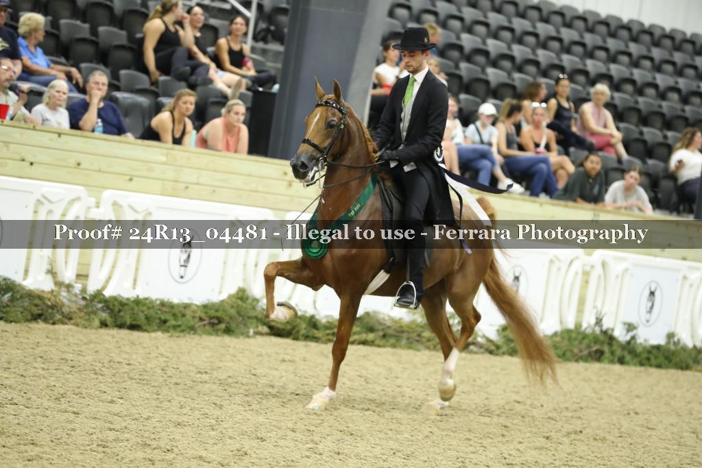 Proof 24R13_04481