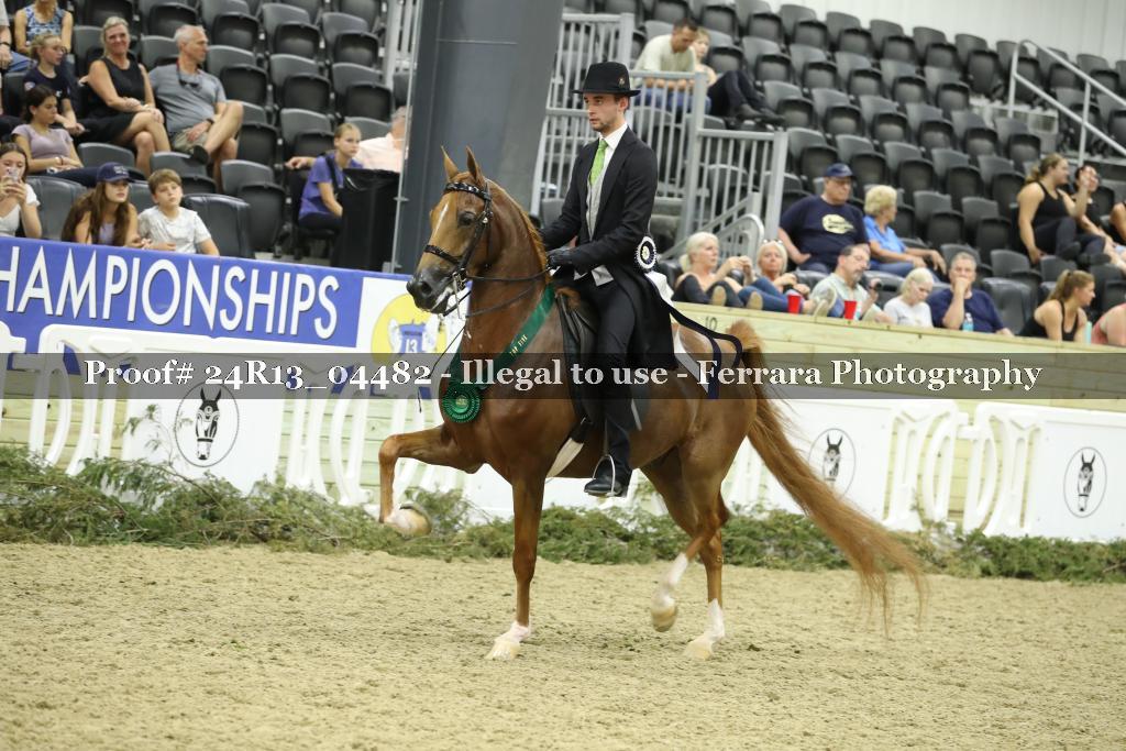 Proof 24R13_04482