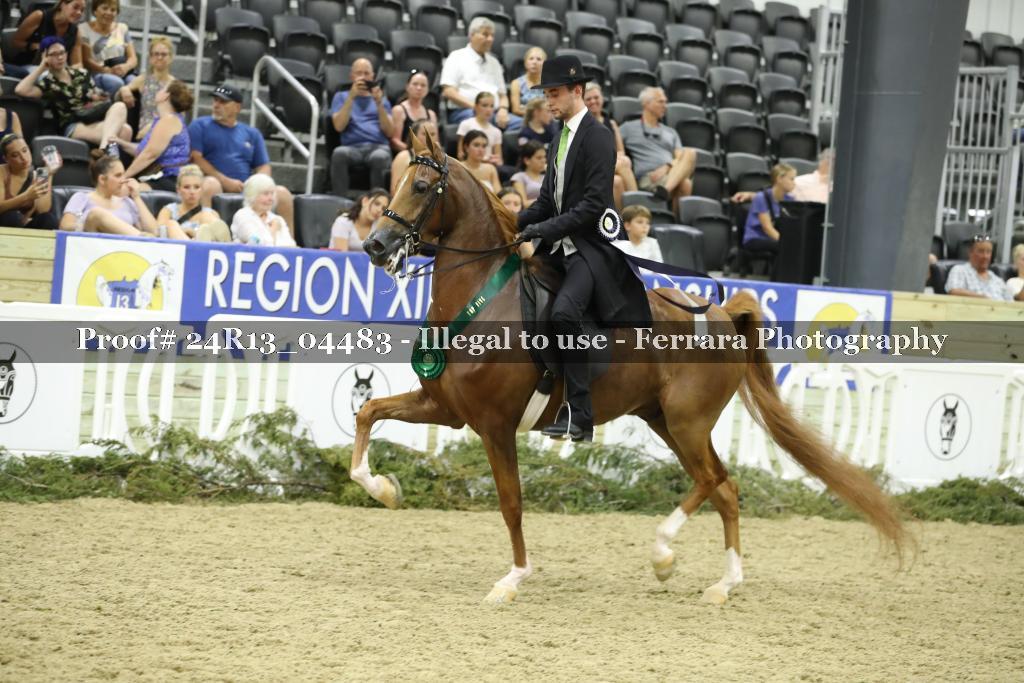Proof 24R13_04483