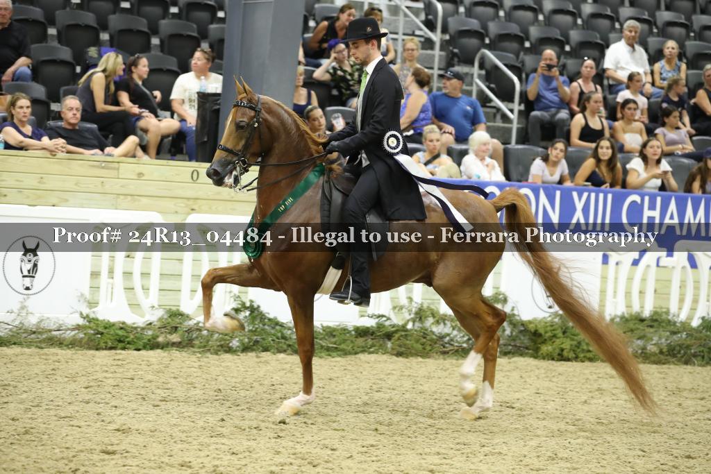 Proof 24R13_04484