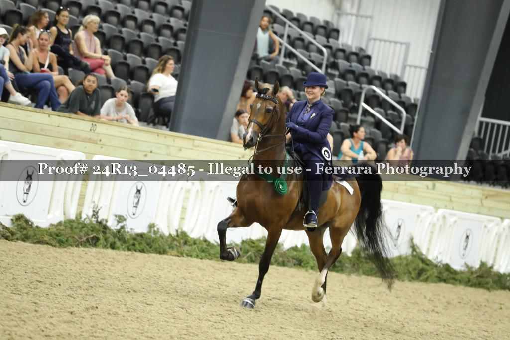 Proof 24R13_04485
