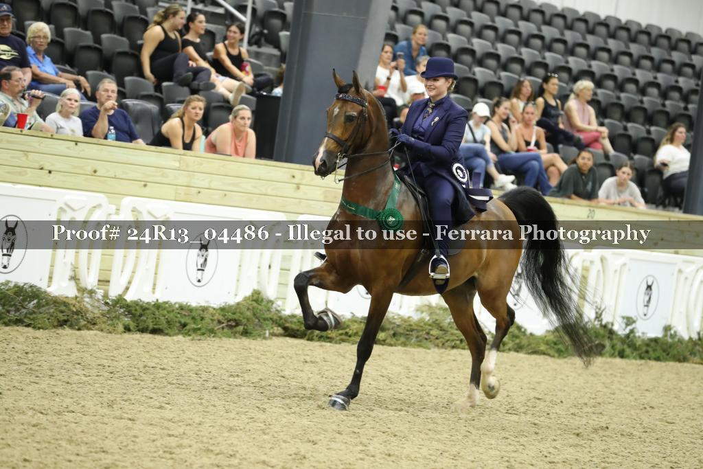 Proof 24R13_04486
