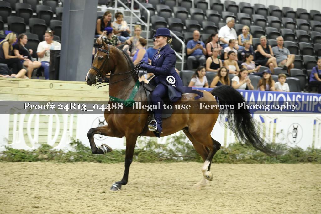 Proof 24R13_04488