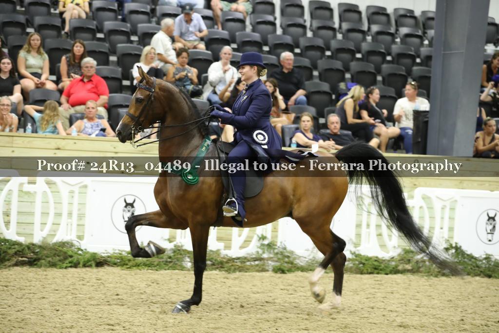 Proof 24R13_04489