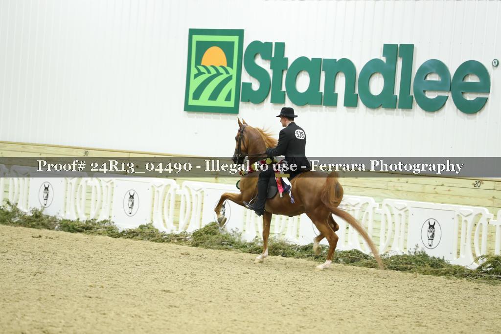 Proof 24R13_04490