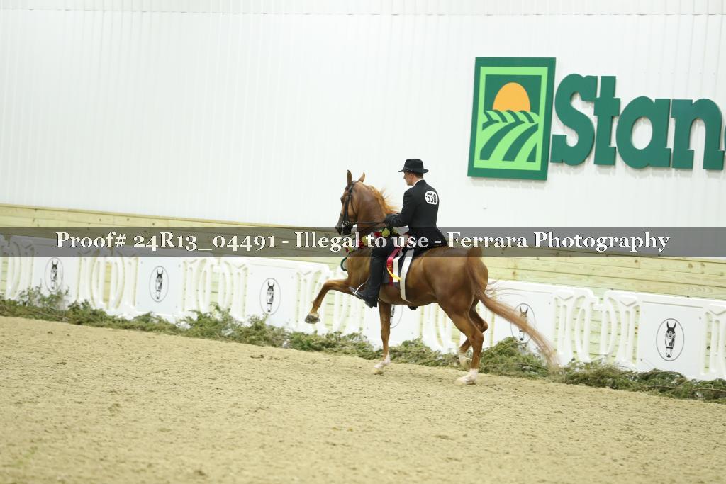 Proof 24R13_04491