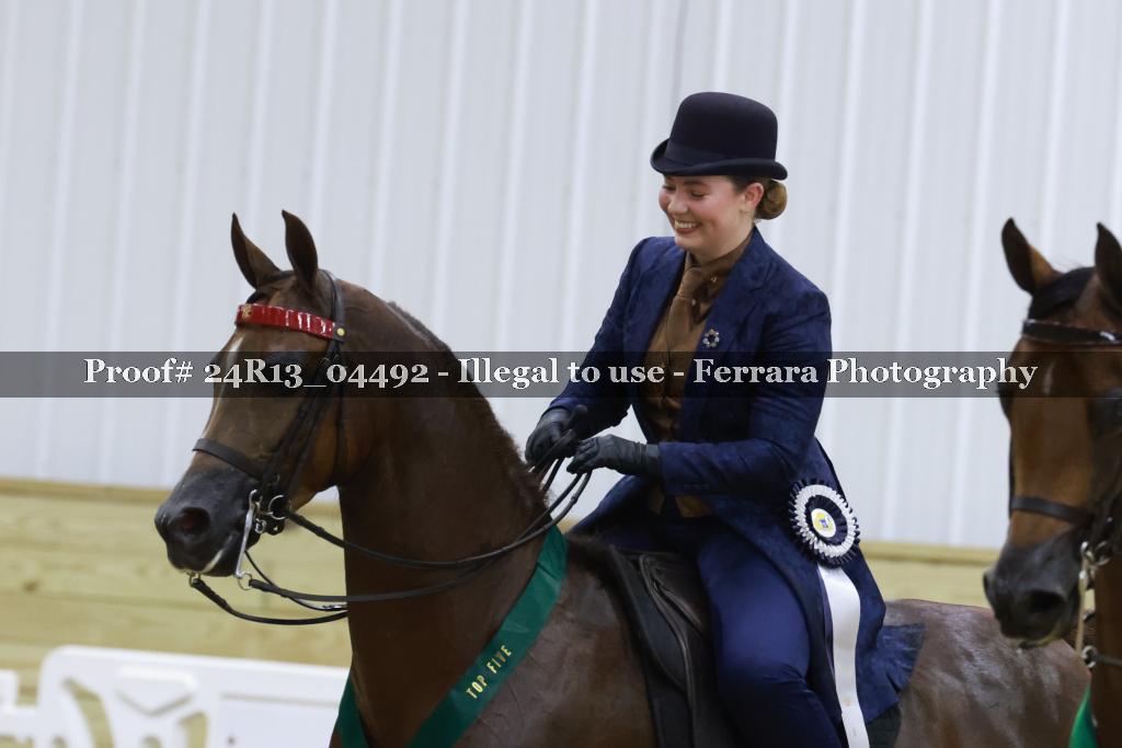 Proof 24R13_04492