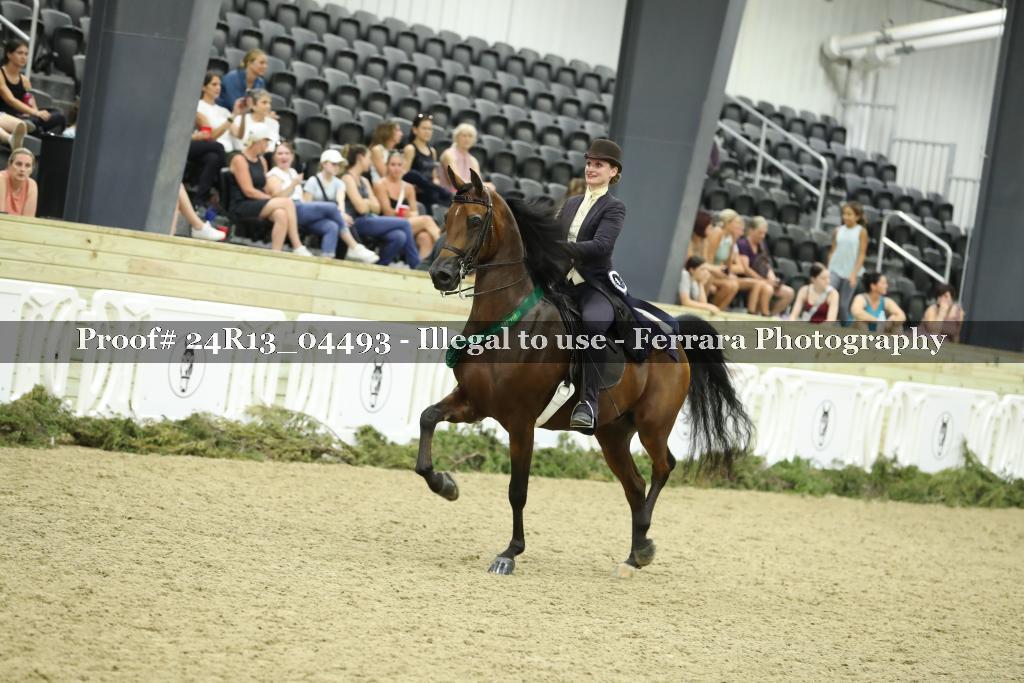 Proof 24R13_04493