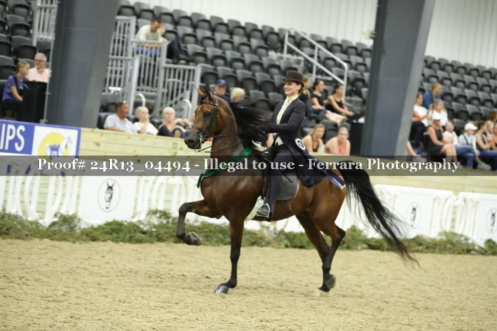 Proof 24R13_04494