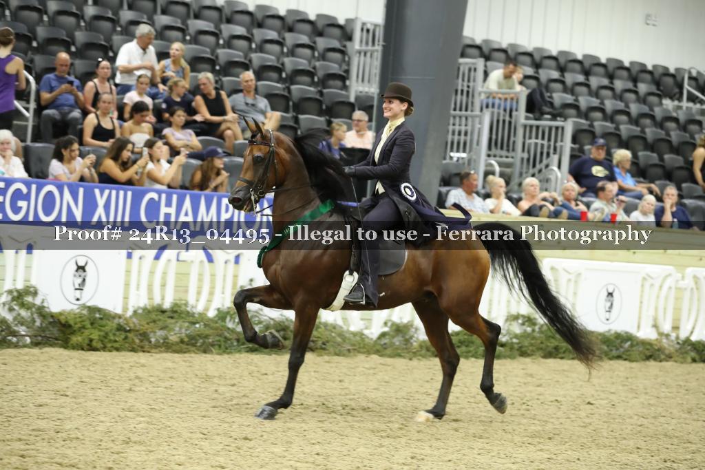 Proof 24R13_04495