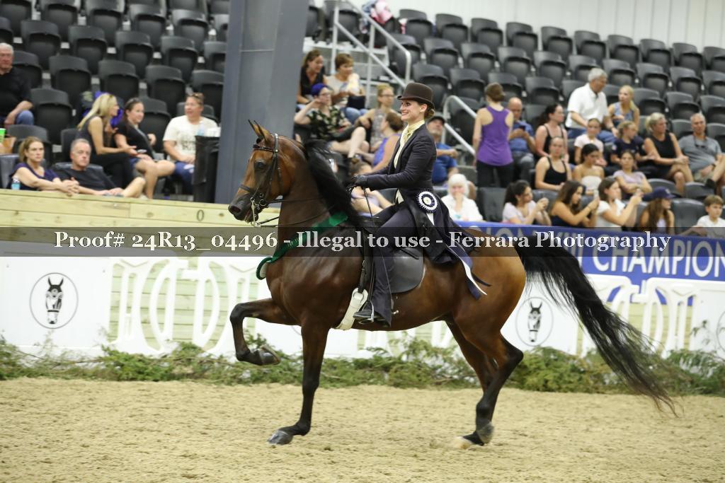 Proof 24R13_04496