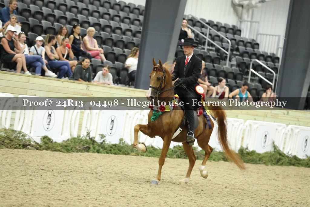 Proof 24R13_04498