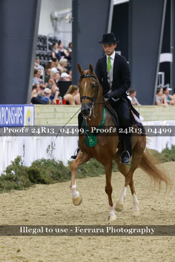 Proof 24R13_04499