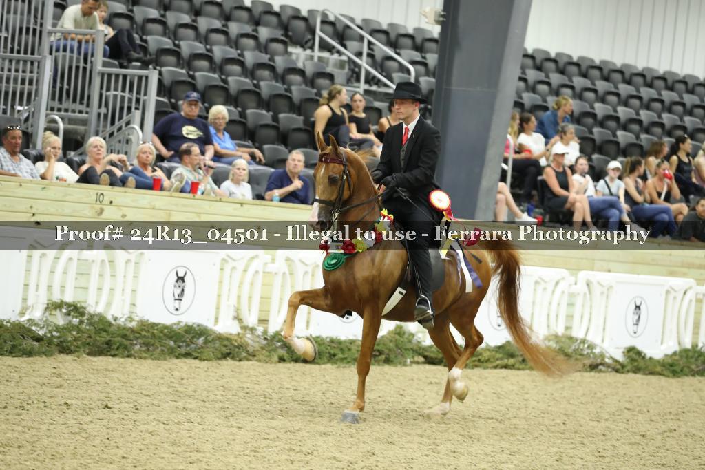Proof 24R13_04501