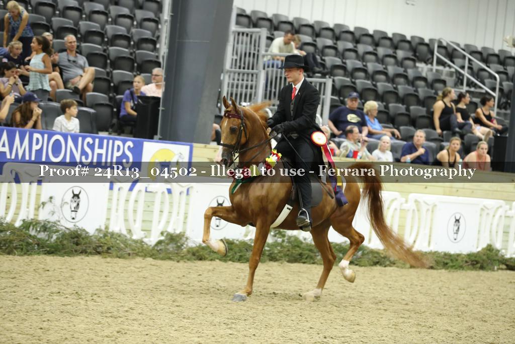 Proof 24R13_04502