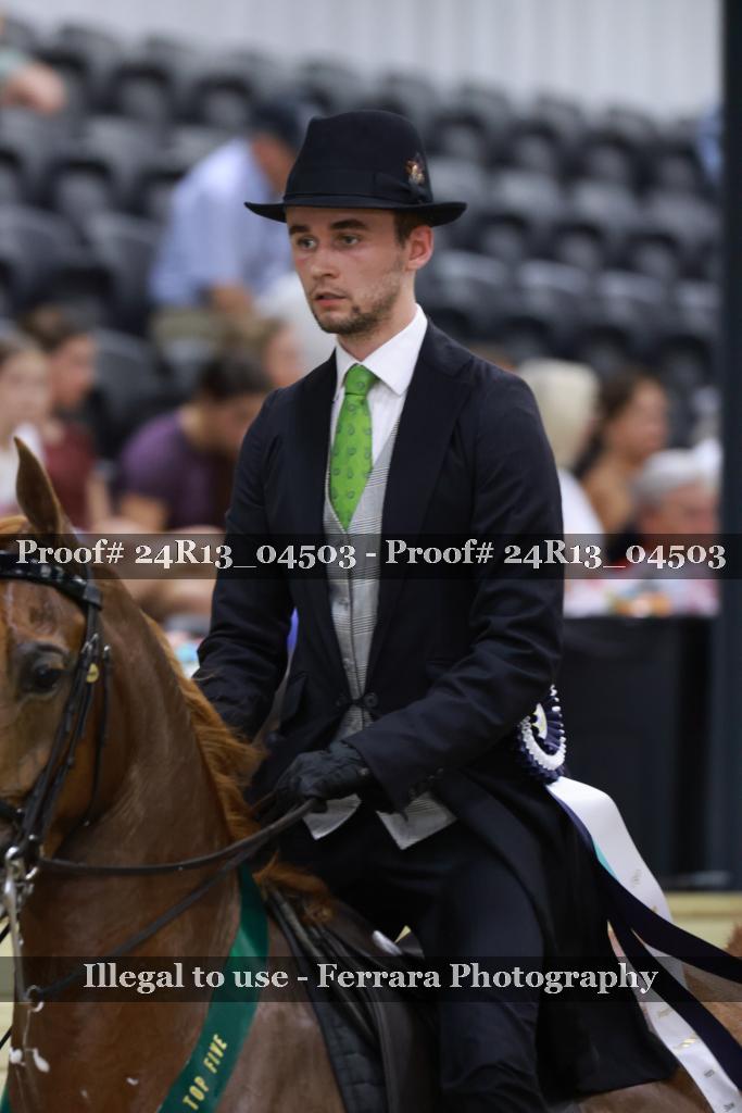 Proof 24R13_04503