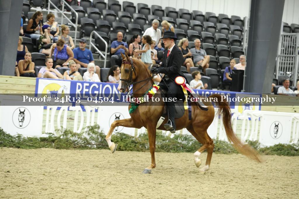 Proof 24R13_04504