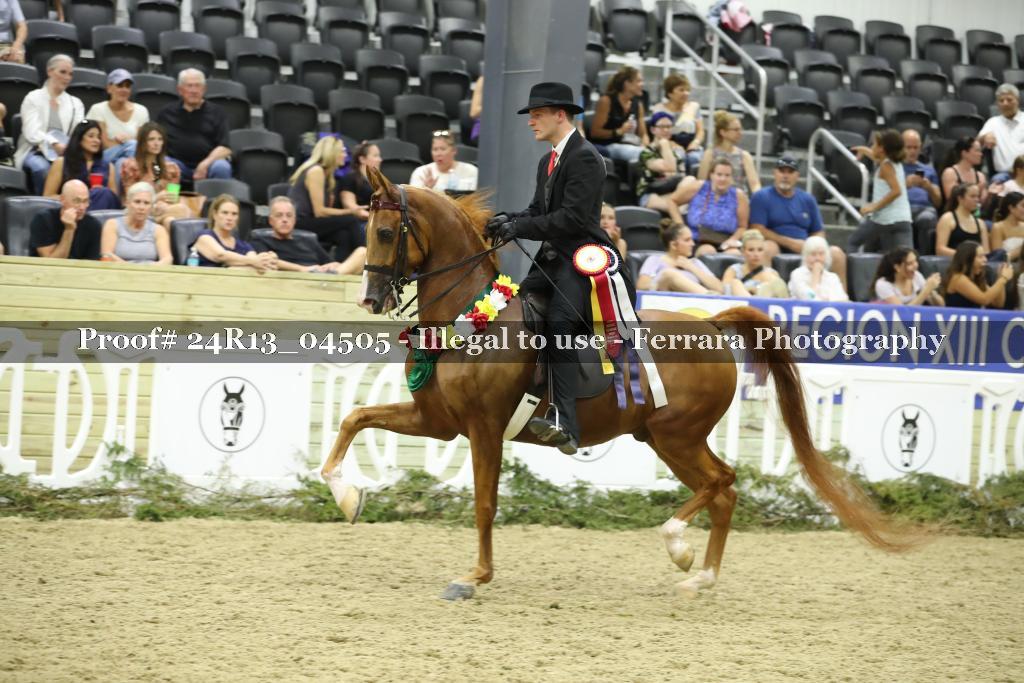 Proof 24R13_04505