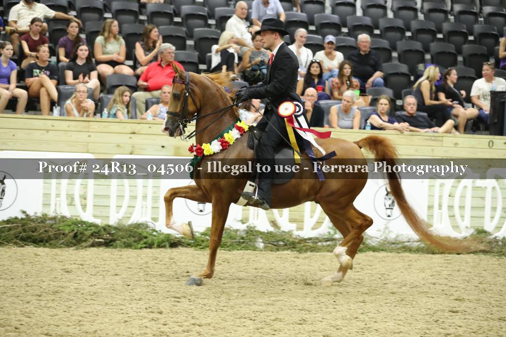 Proof 24R13_04506