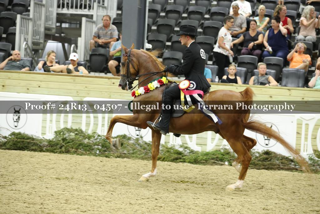 Proof 24R13_04507