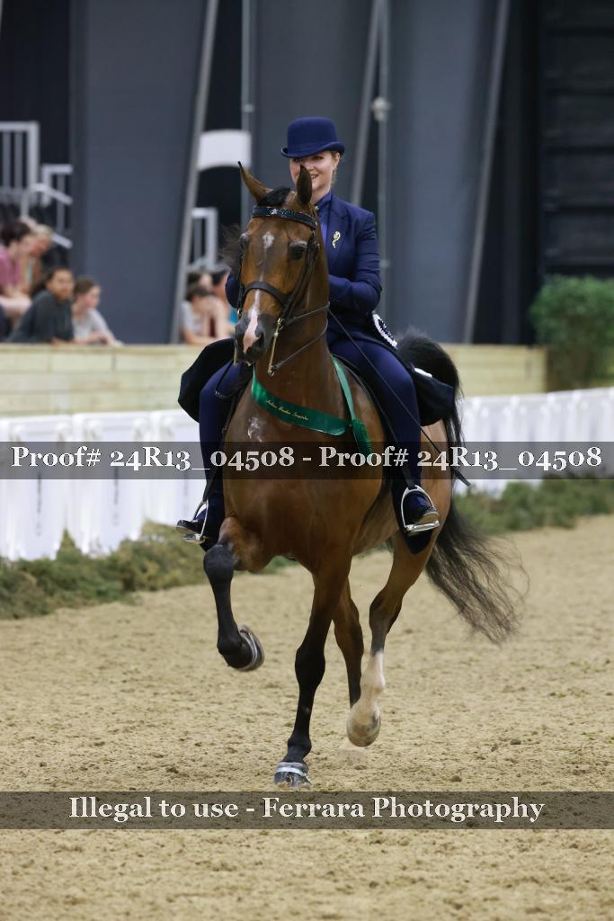 Proof 24R13_04508