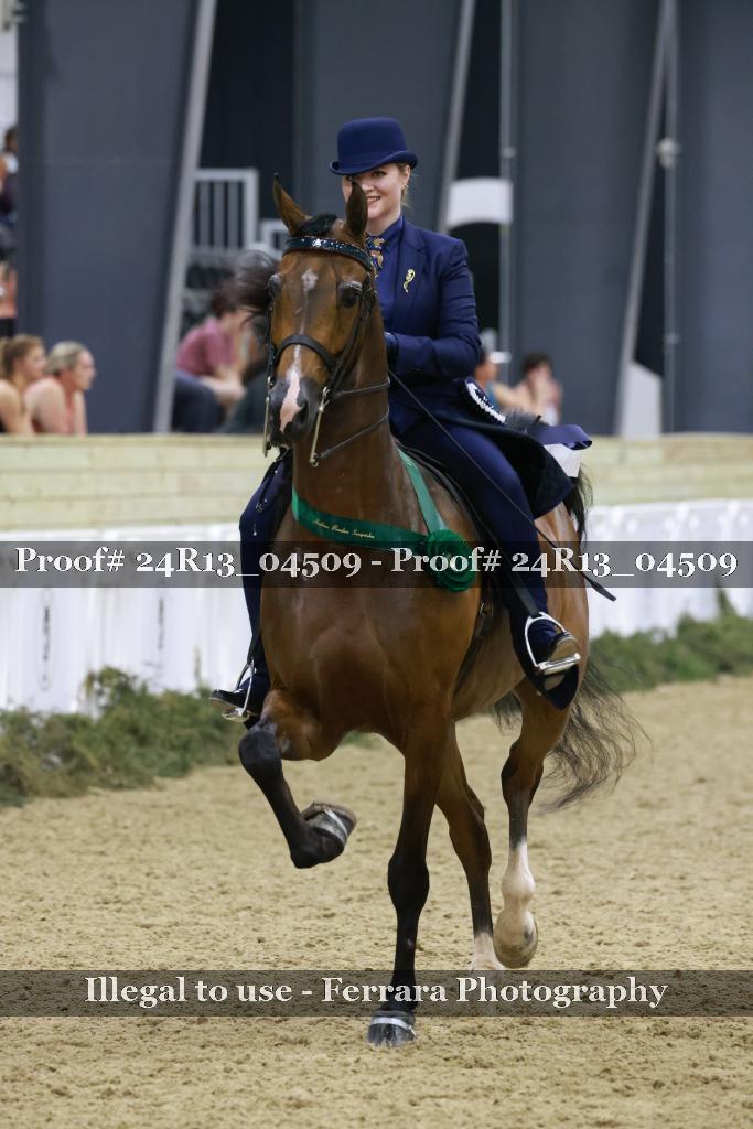 Proof 24R13_04509