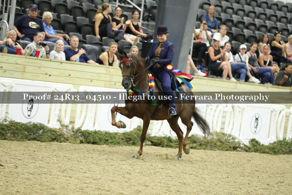 Proof 24R13_04510