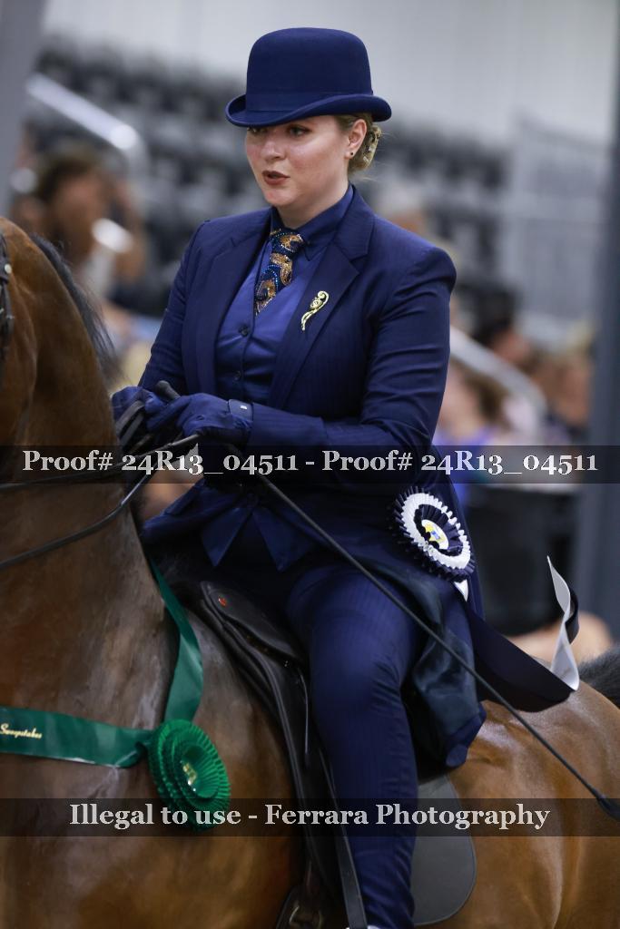 Proof 24R13_04511