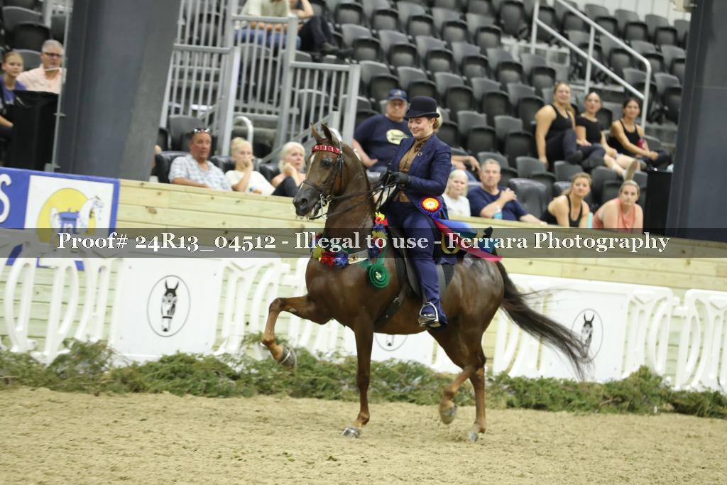 Proof 24R13_04512