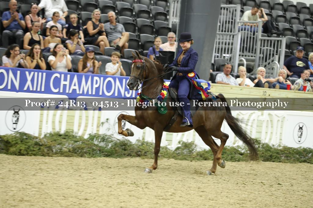 Proof 24R13_04513