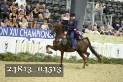 24R13_04513 proof