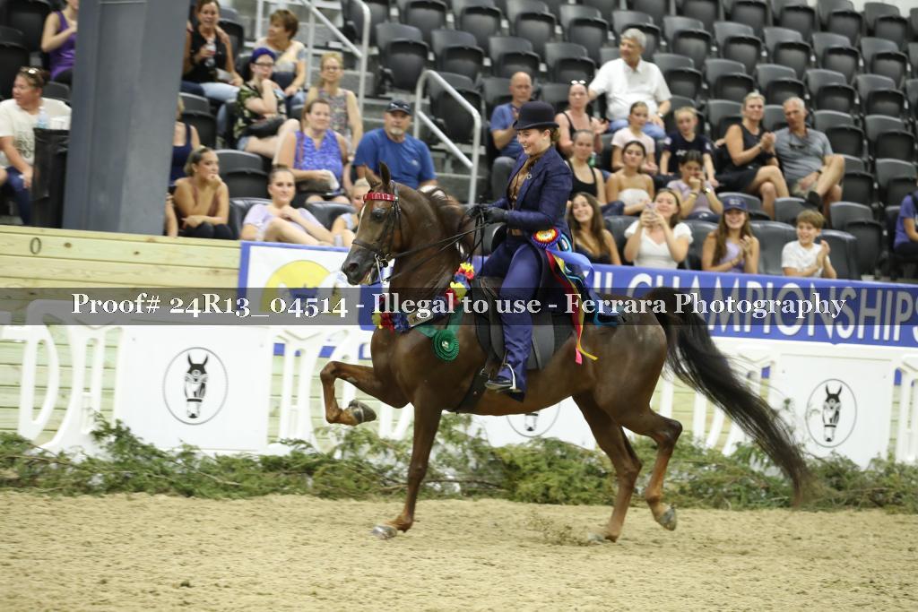 Proof 24R13_04514