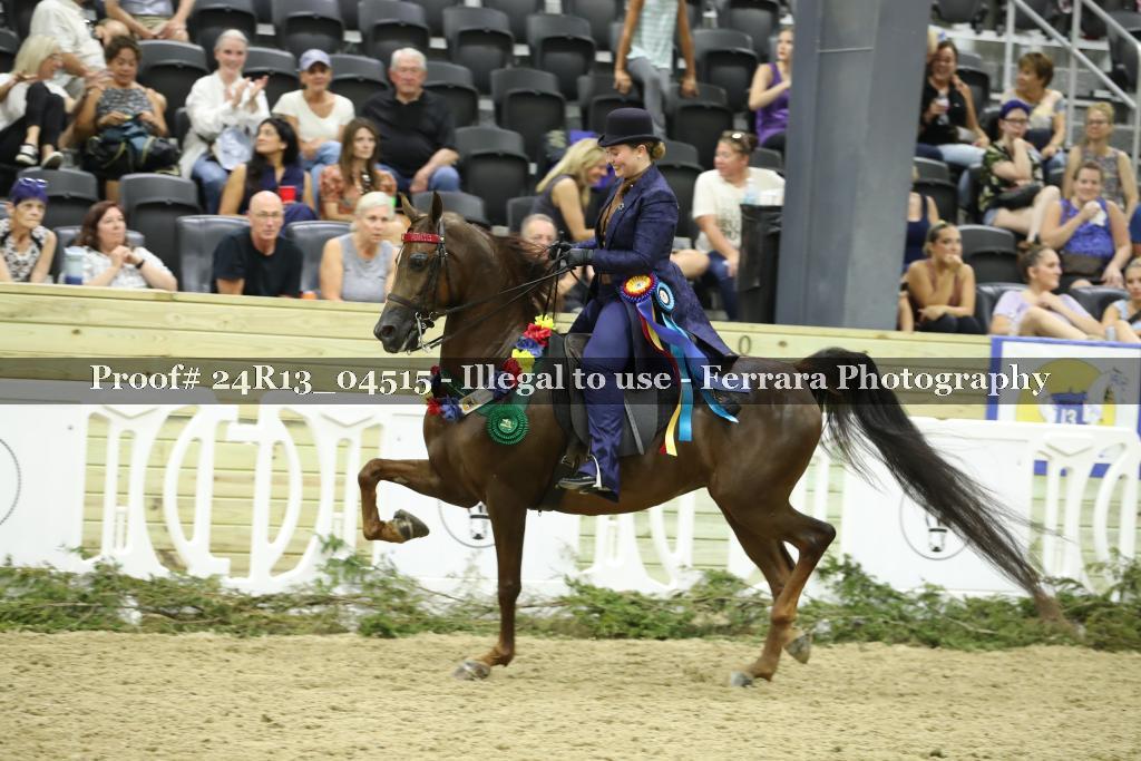 Proof 24R13_04515