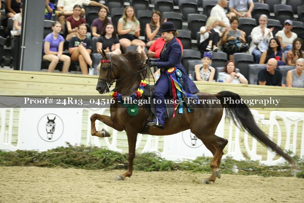 Proof 24R13_04516