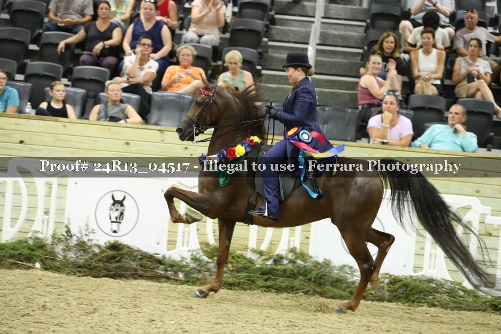 Proof 24R13_04517