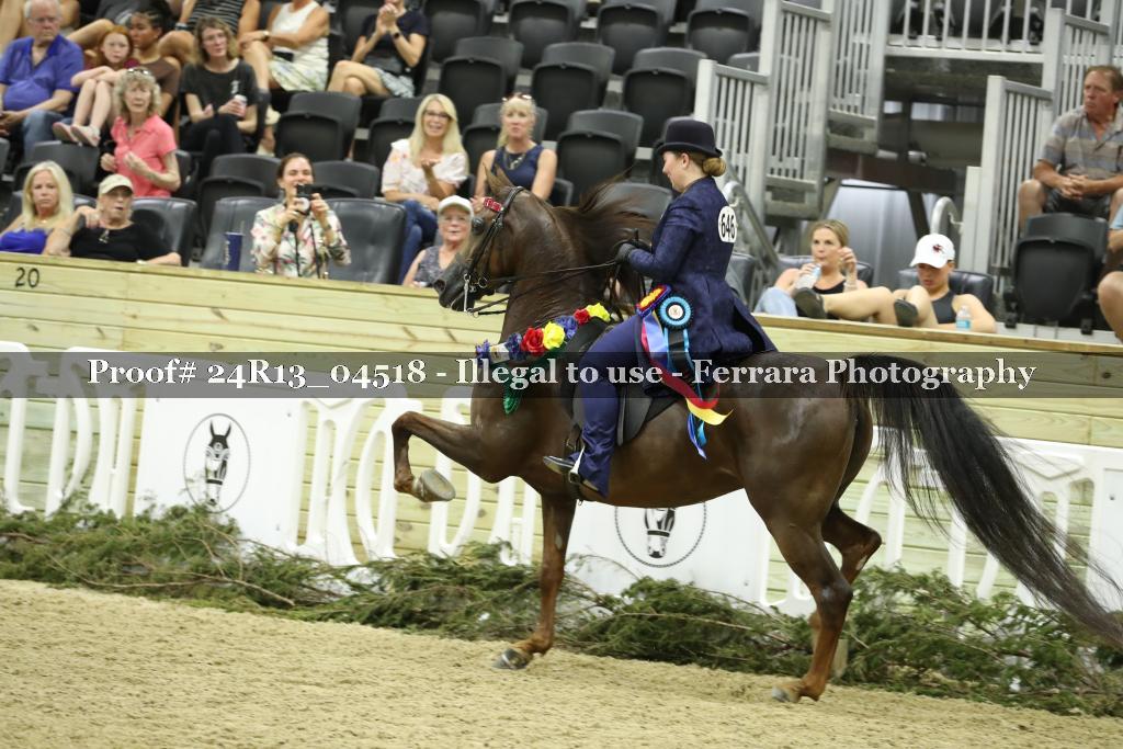 Proof 24R13_04518