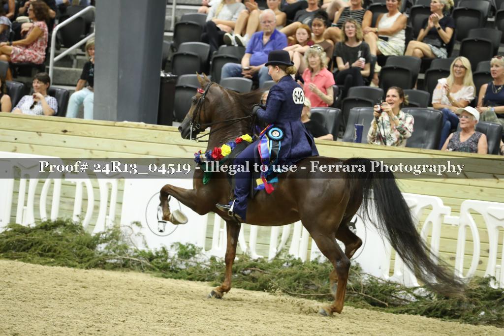 Proof 24R13_04519