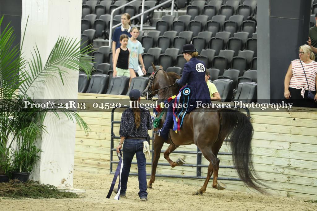 Proof 24R13_04520