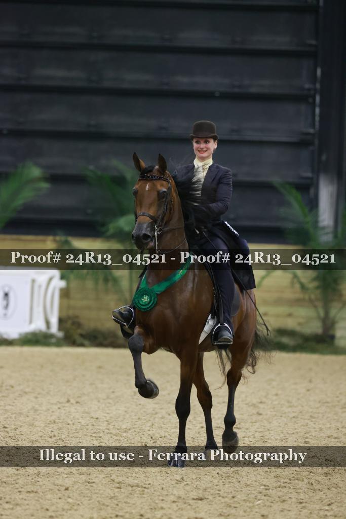 Proof 24R13_04521
