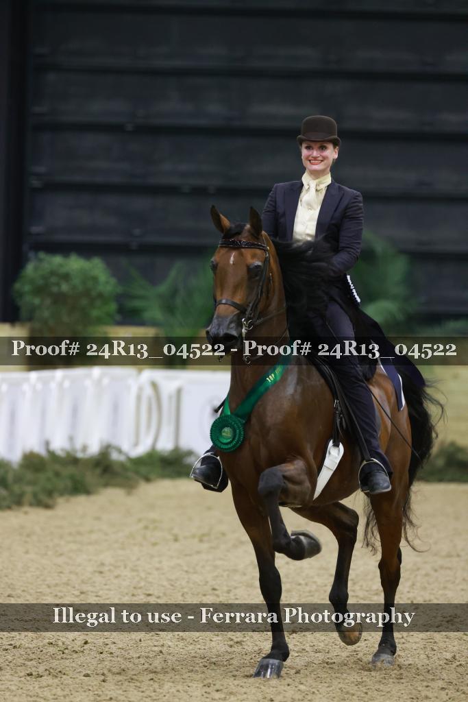 Proof 24R13_04522