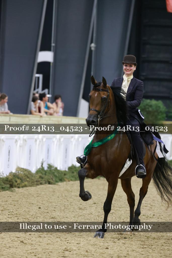 Proof 24R13_04523