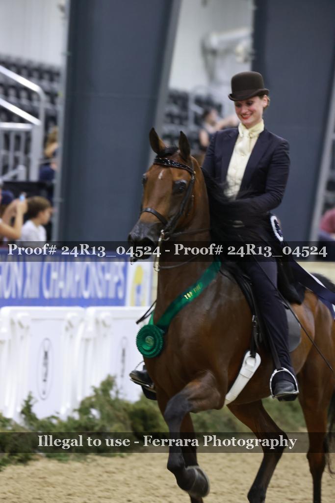 Proof 24R13_04524